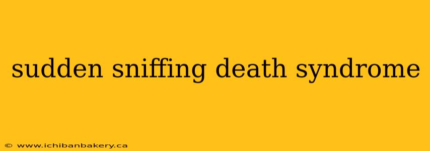 sudden sniffing death syndrome