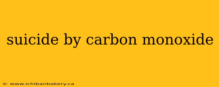 suicide by carbon monoxide