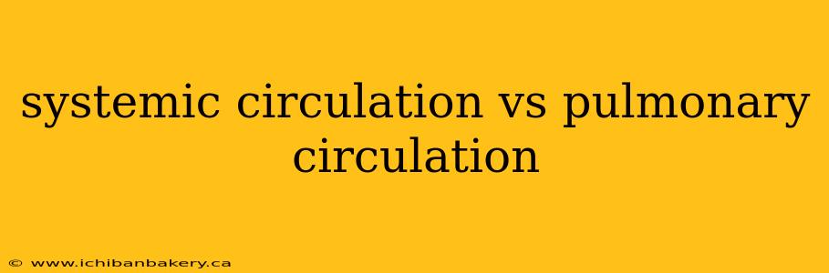systemic circulation vs pulmonary circulation