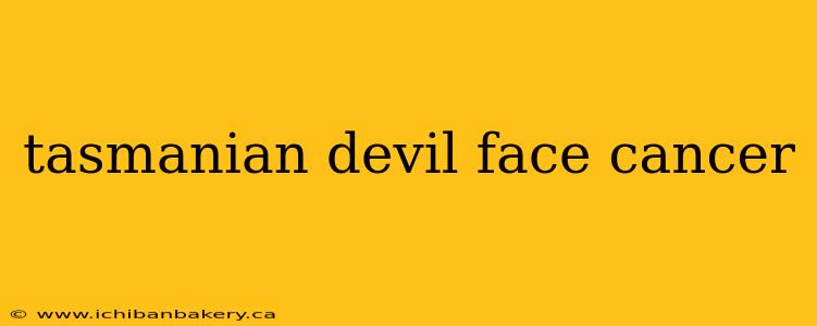 tasmanian devil face cancer