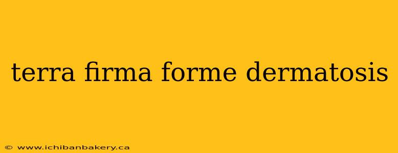 terra firma forme dermatosis