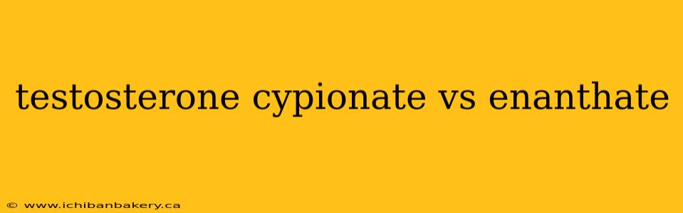 testosterone cypionate vs enanthate