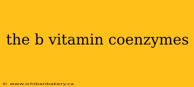 the b vitamin coenzymes