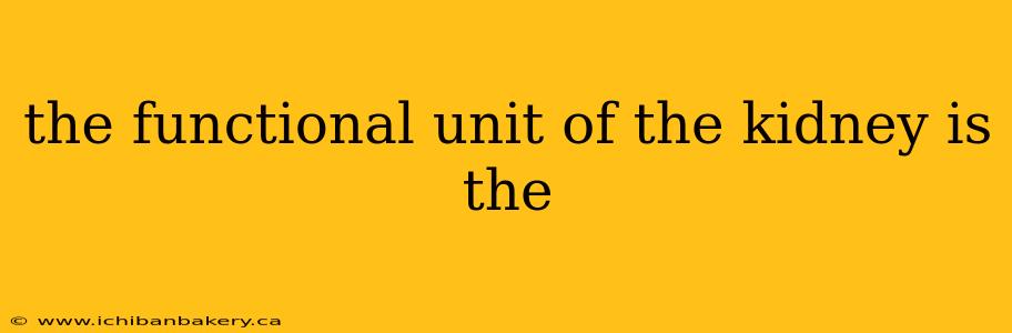 the functional unit of the kidney is the