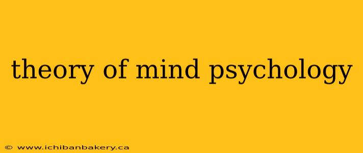 theory of mind psychology