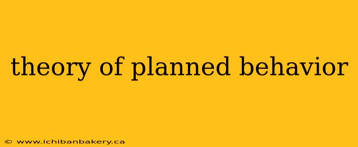 theory of planned behavior