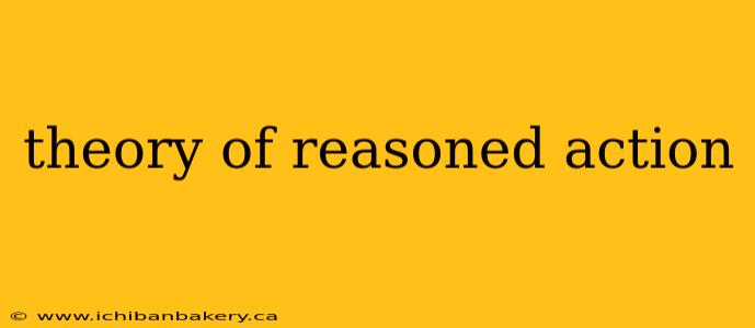 theory of reasoned action