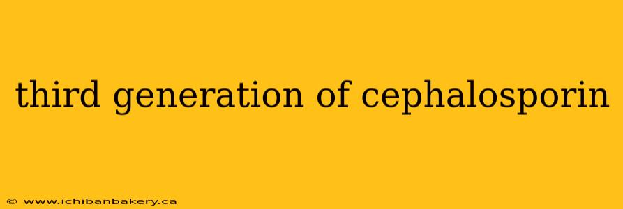 third generation of cephalosporin