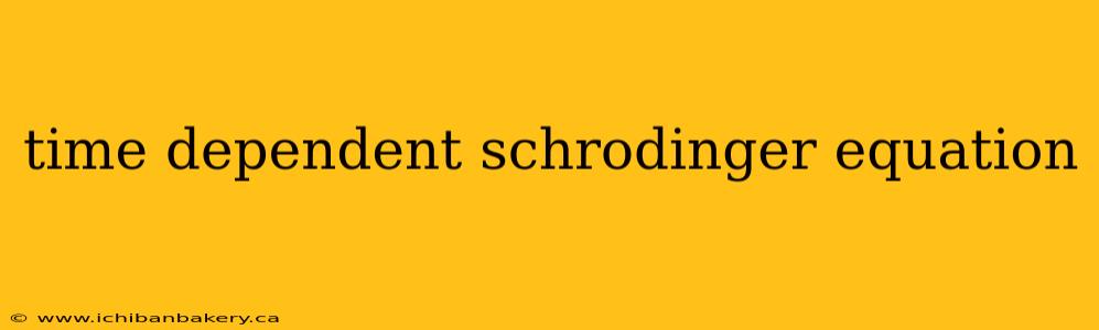 time dependent schrodinger equation