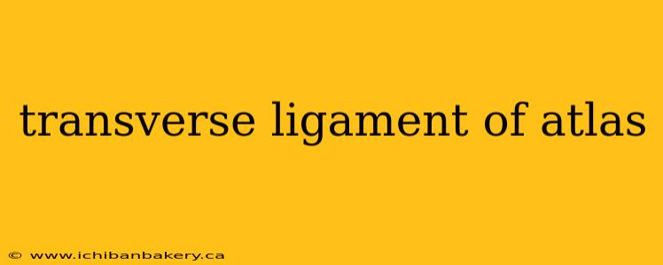 transverse ligament of atlas