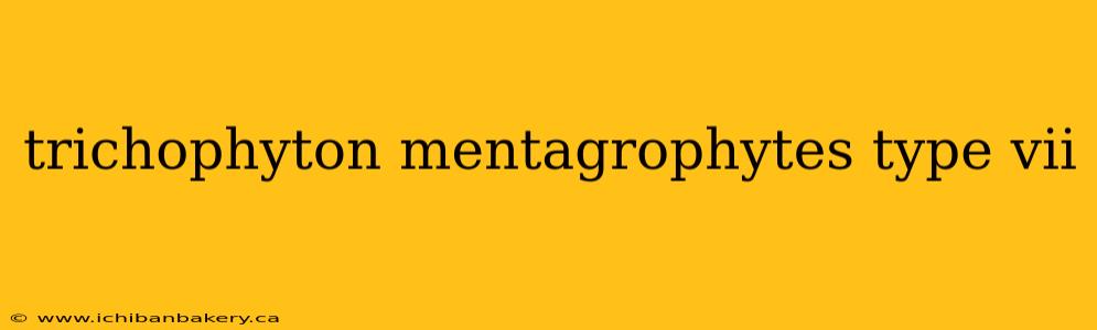 trichophyton mentagrophytes type vii