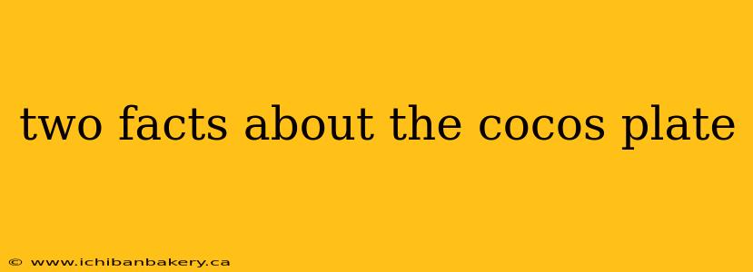 two facts about the cocos plate