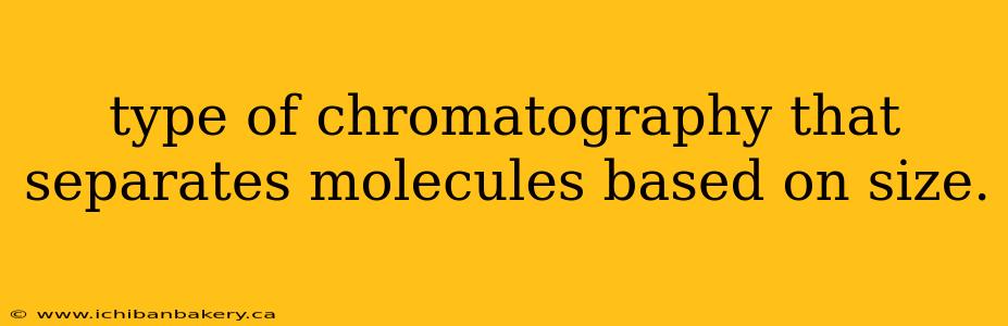 type of chromatography that separates molecules based on size.