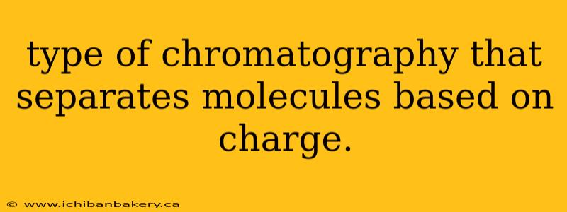 type of chromatography that separates molecules based on charge.