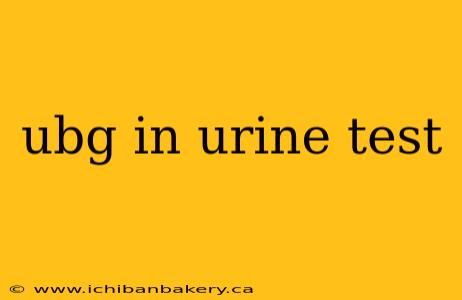 ubg in urine test