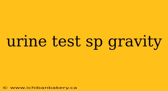 urine test sp gravity