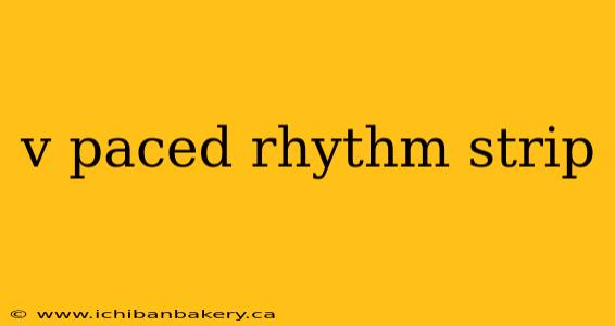 v paced rhythm strip