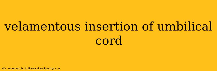 velamentous insertion of umbilical cord