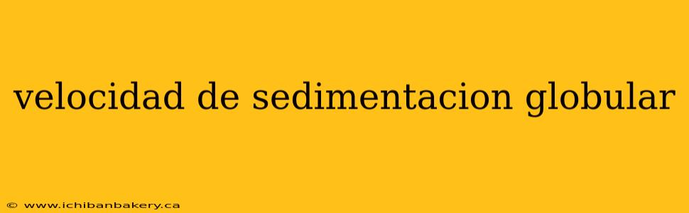 velocidad de sedimentacion globular