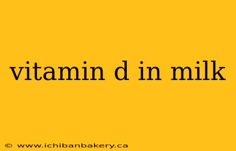 vitamin d in milk