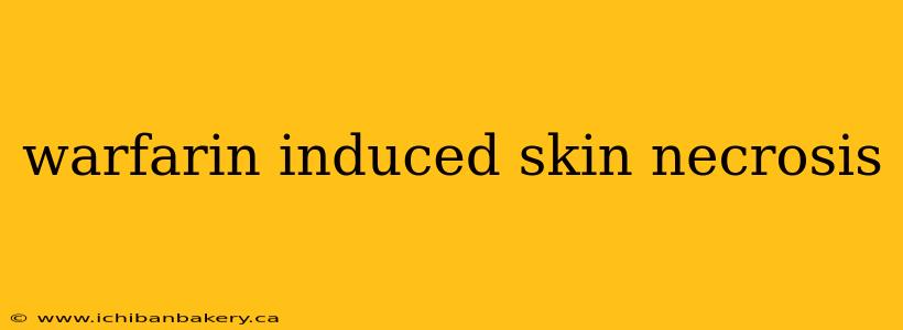 warfarin induced skin necrosis