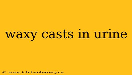 waxy casts in urine