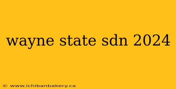 wayne state sdn 2024