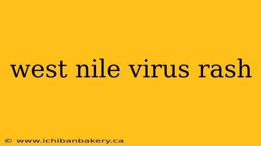 west nile virus rash