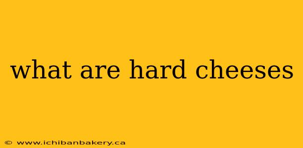 what are hard cheeses