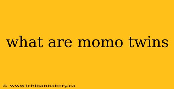 what are momo twins