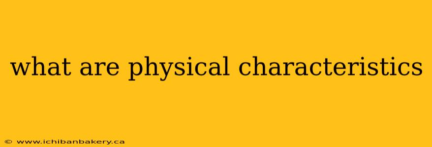 what are physical characteristics