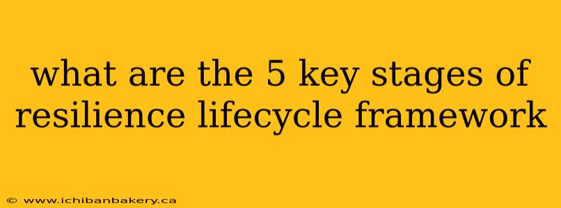 what are the 5 key stages of resilience lifecycle framework
