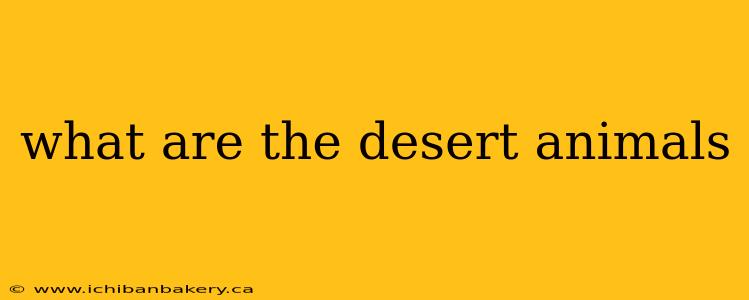 what are the desert animals