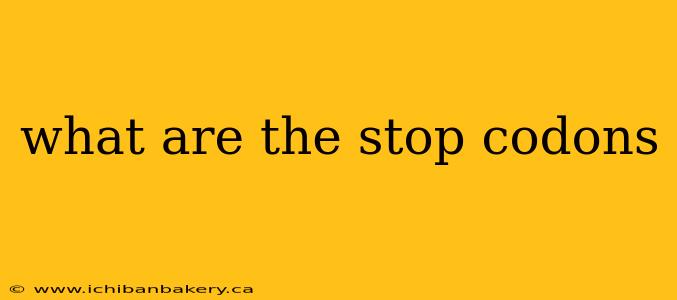 what are the stop codons