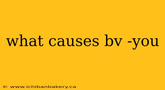 what causes bv -you
