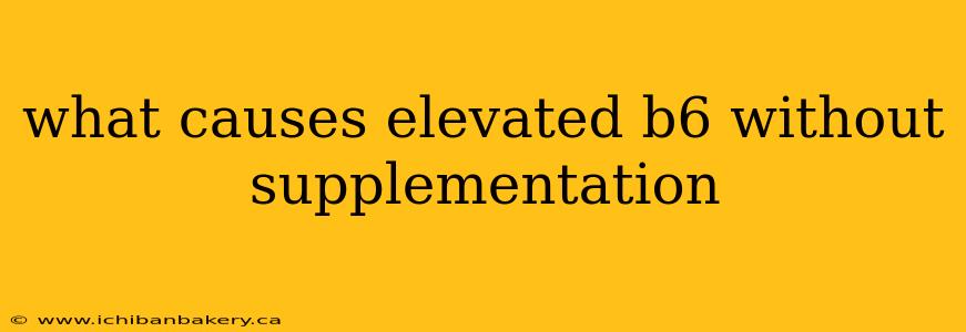 what causes elevated b6 without supplementation