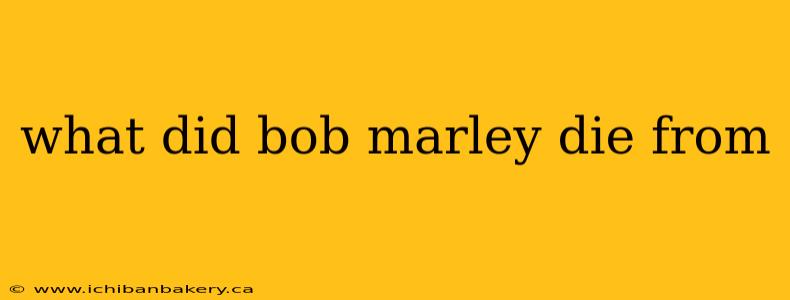 what did bob marley die from