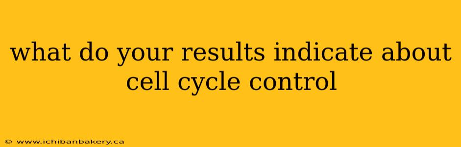 what do your results indicate about cell cycle control