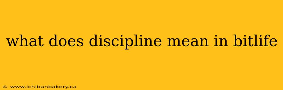 what does discipline mean in bitlife