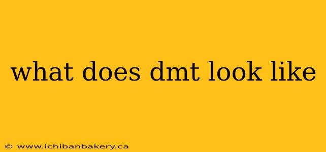 what does dmt look like