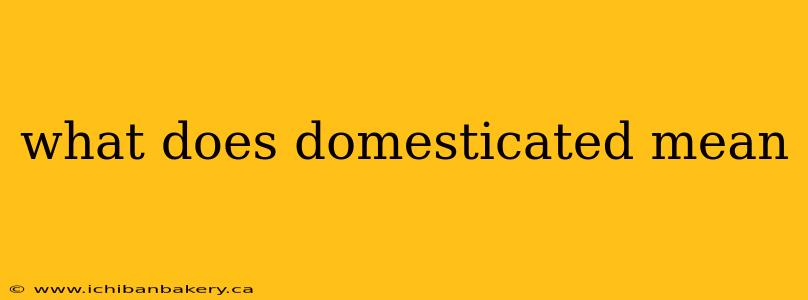 what does domesticated mean
