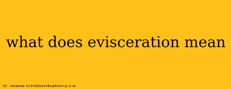 what does evisceration mean