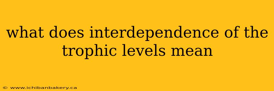 what does interdependence of the trophic levels mean