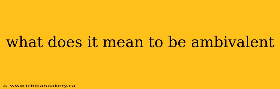 what does it mean to be ambivalent