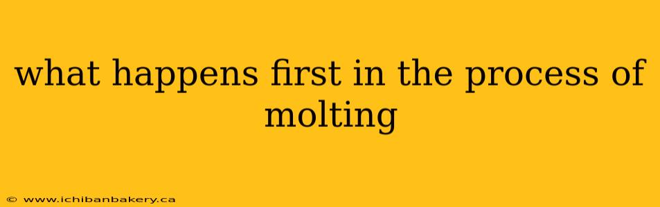 what happens first in the process of molting