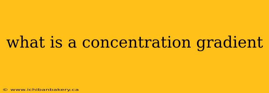 what is a concentration gradient