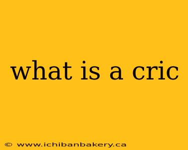 what is a cric