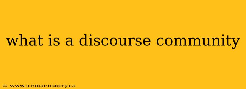 what is a discourse community