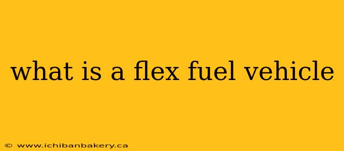 what is a flex fuel vehicle
