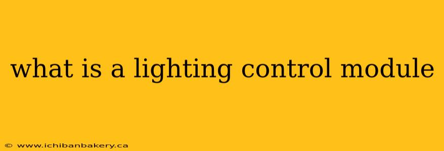 what is a lighting control module